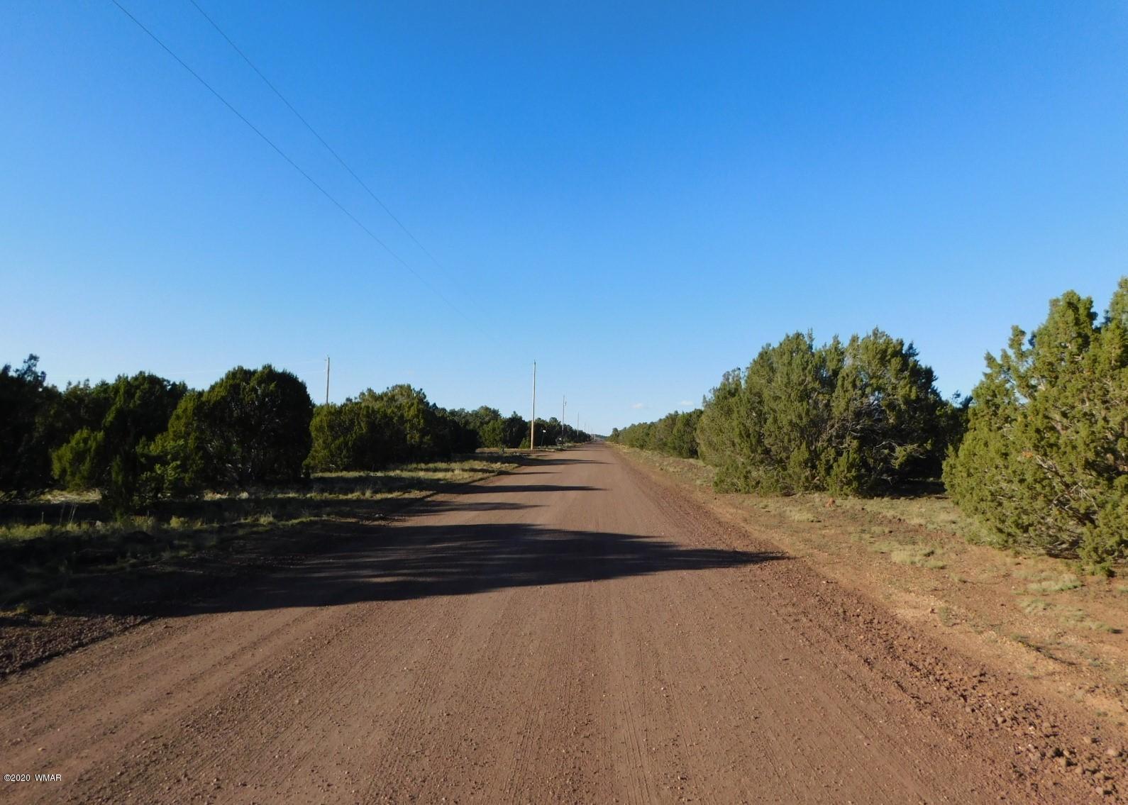 Lot 1 County Road Concho, AZ 85924 - Photo 7 of 12