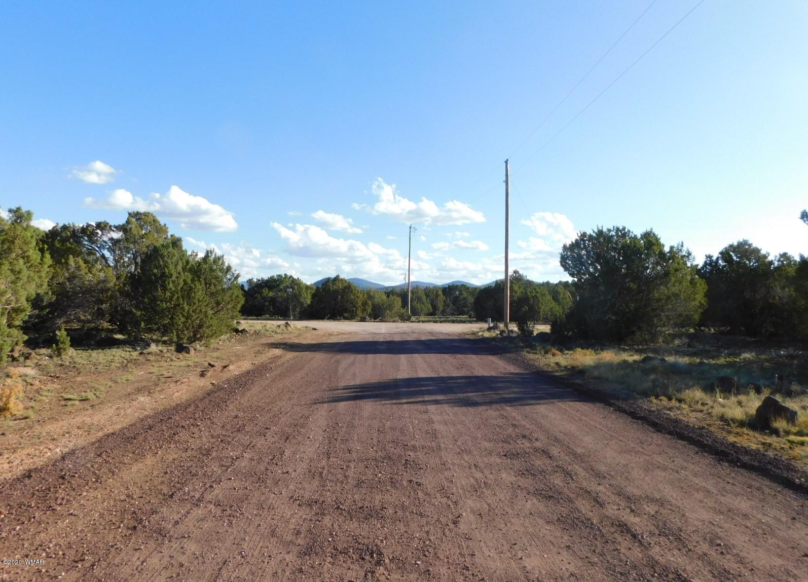 Lot 1 County Road Concho, AZ 85924 - Photo 8 of 12
