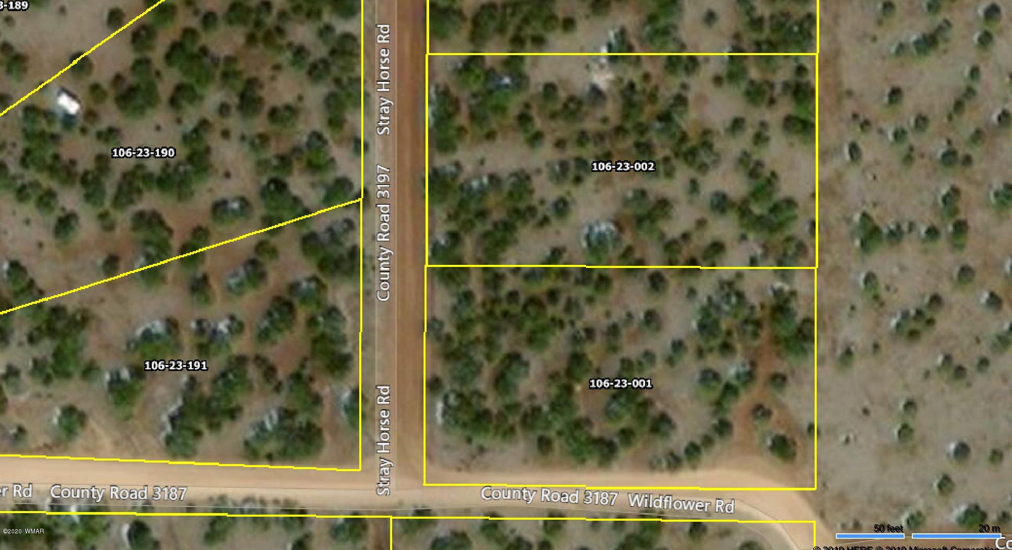 Lot 1 County Road Concho, AZ 85924 - Photo 10 of 12