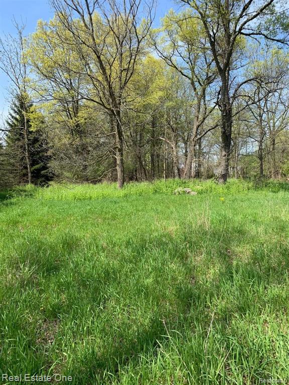 0 Rattalee Lake Road Holly, MI 48442 - Photo 1 of 6