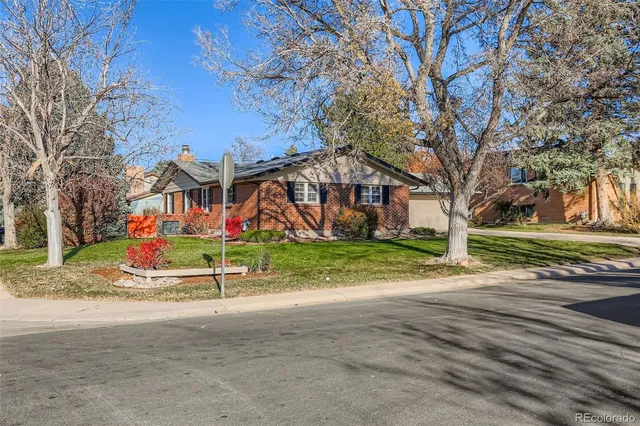 a view of a park with large trees