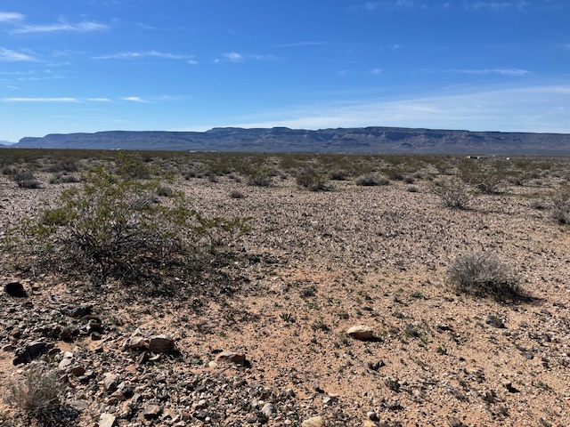 208-21-068 Arlington Road Yucca, AZ 86438 - Photo 6 of 18