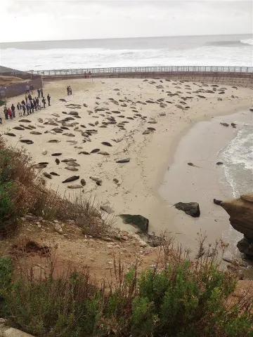 a view of beach and ocean