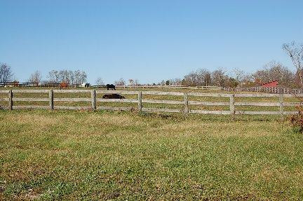 704 Sebree Road Stamping Ground, KY 40379 - Photo 3 of 6 Photo 3