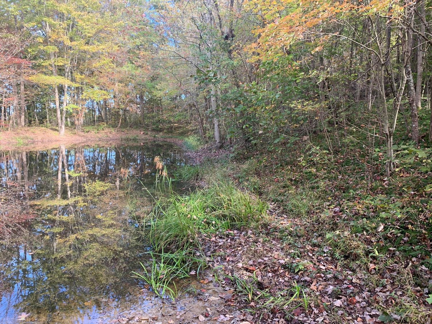 A Phipps Road Lucasville, OH 45648 - Photo 24 of 36 Gallery Image 24