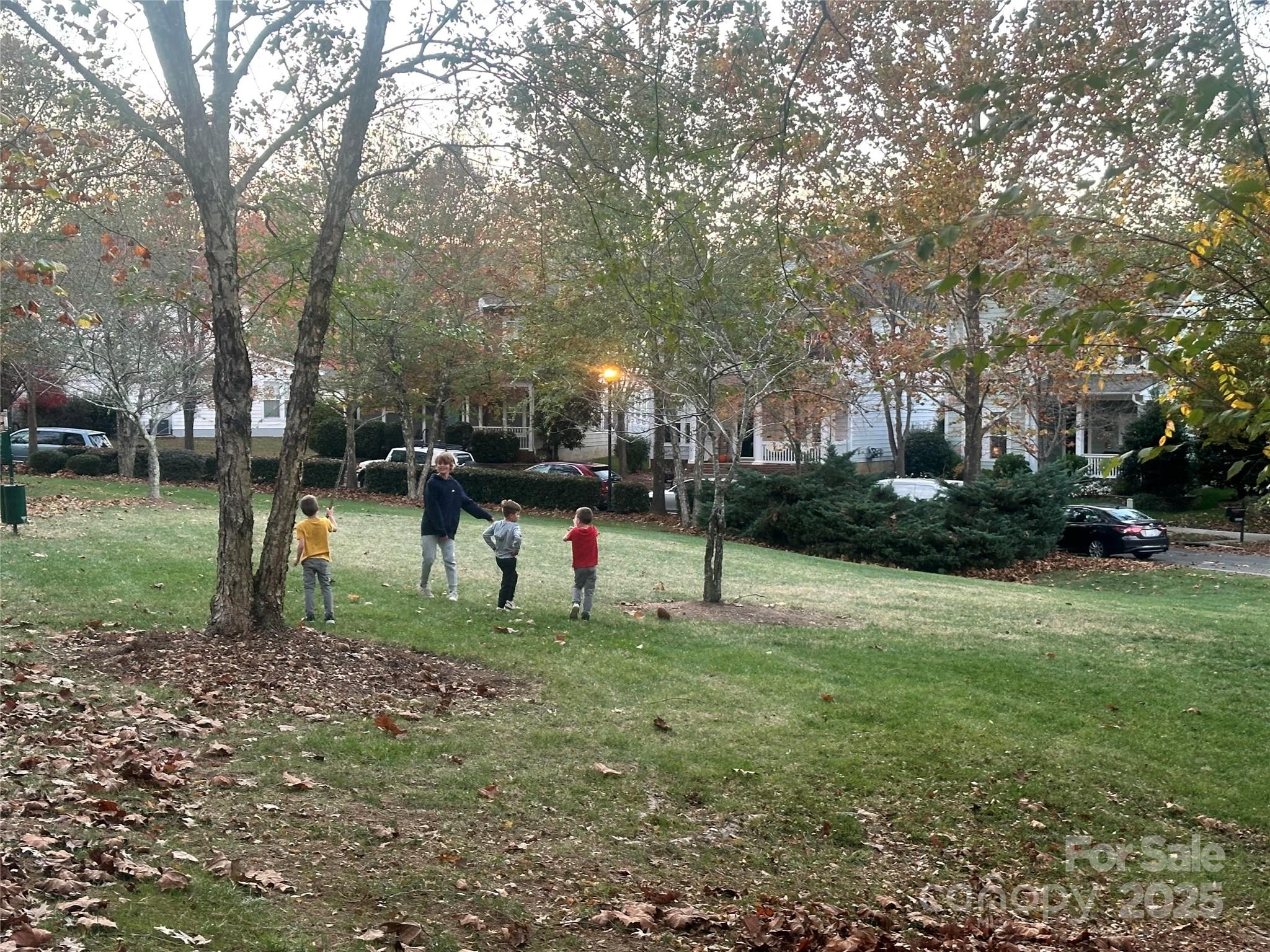 9415 Rosalyn Glen Road Cornelius, NC 28031 - Photo 12 of 46 a view of a park with large trees