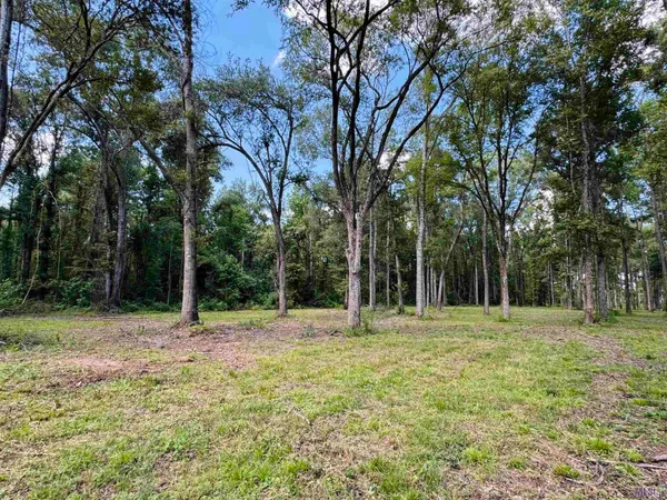 $69,900 | 16 Denham Springs, Pine Grove, LA 70453
