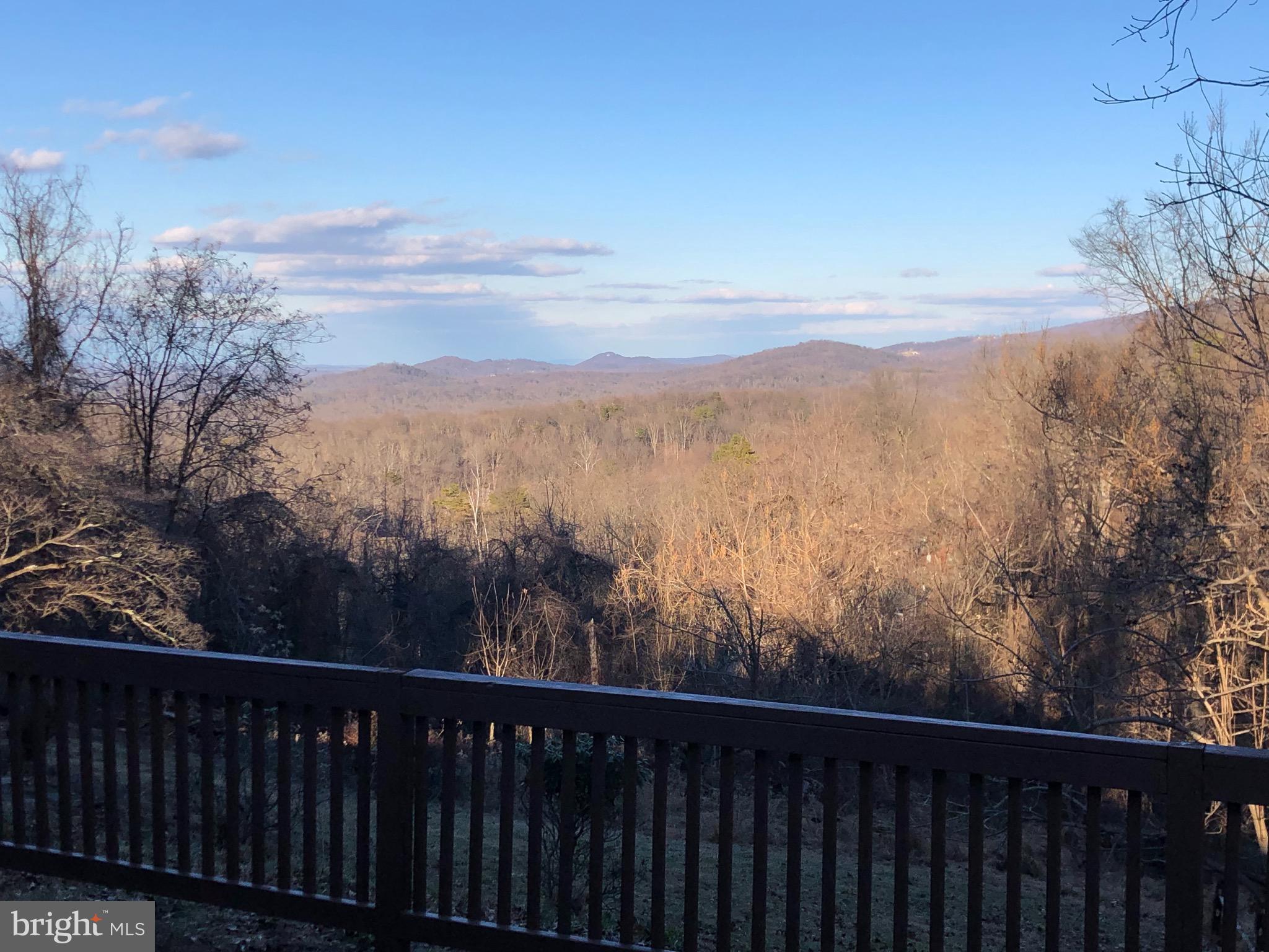 138 Grimes Golden Road Linden, VA 22642 - Photo 15 of 77 a view of a forest from a yard