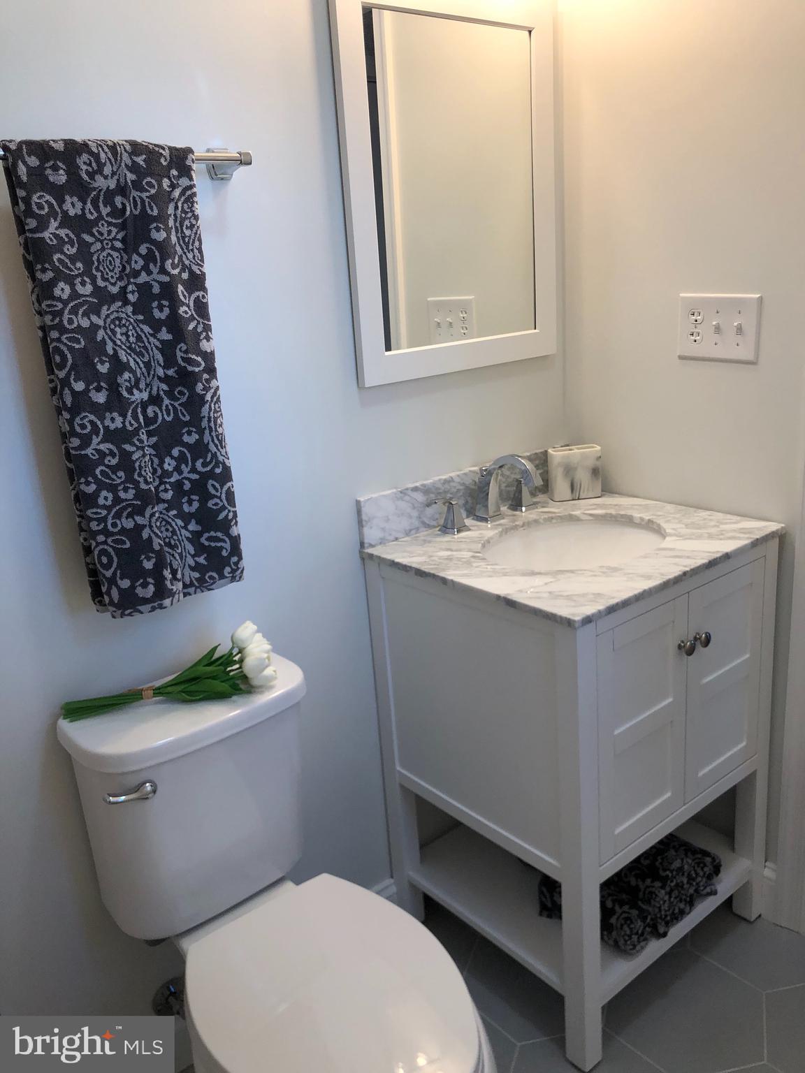 138 Grimes Golden Road Linden, VA 22642 - Photo 48 of 77 a bathroom with a toilet a sink and a mirror
