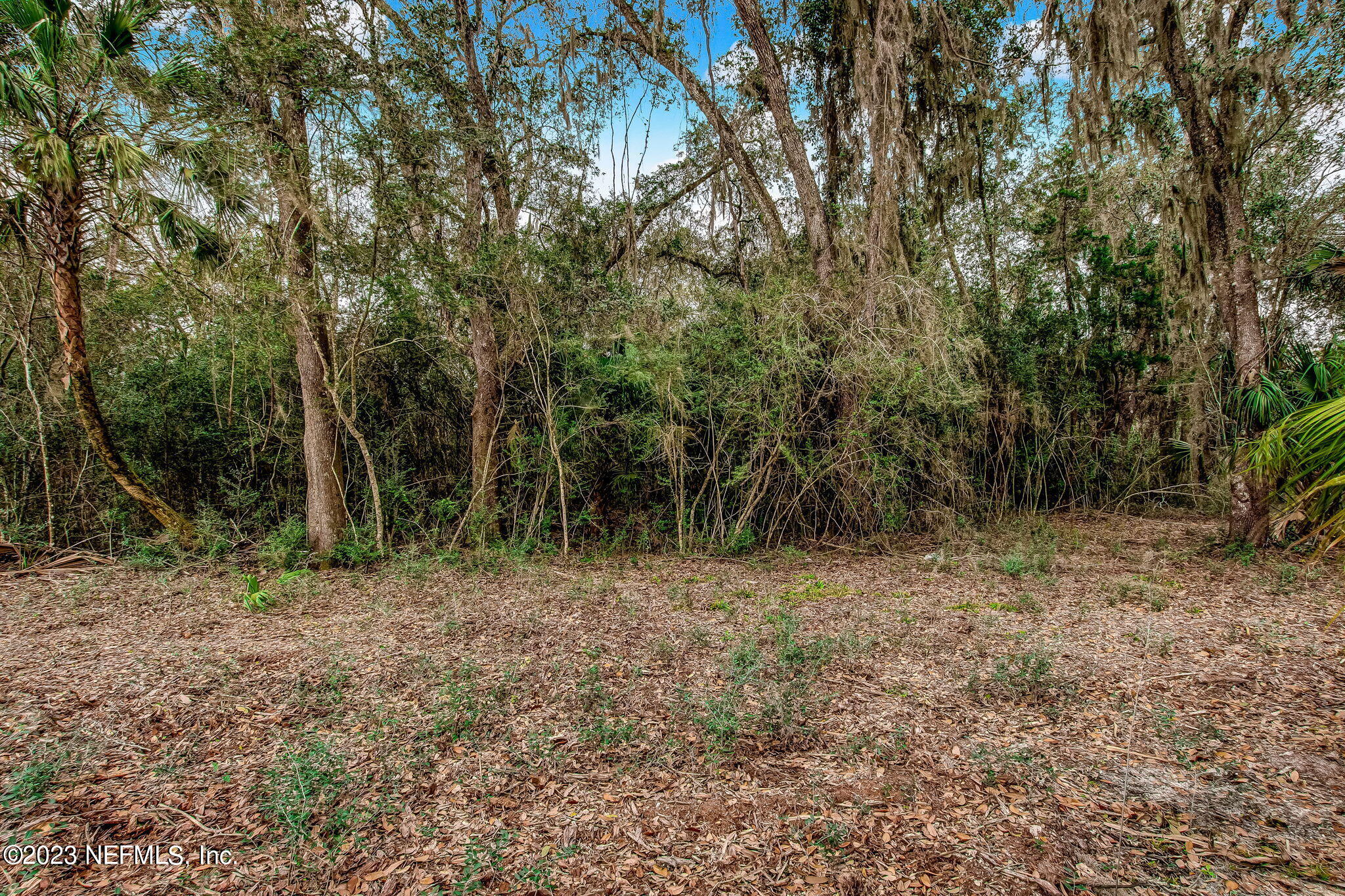 282 Shell Ridge Lane Ponte Vedra, FL 32081 - Photo 4 of 33 3-web-or-mls-3_River Landing - Lot 100