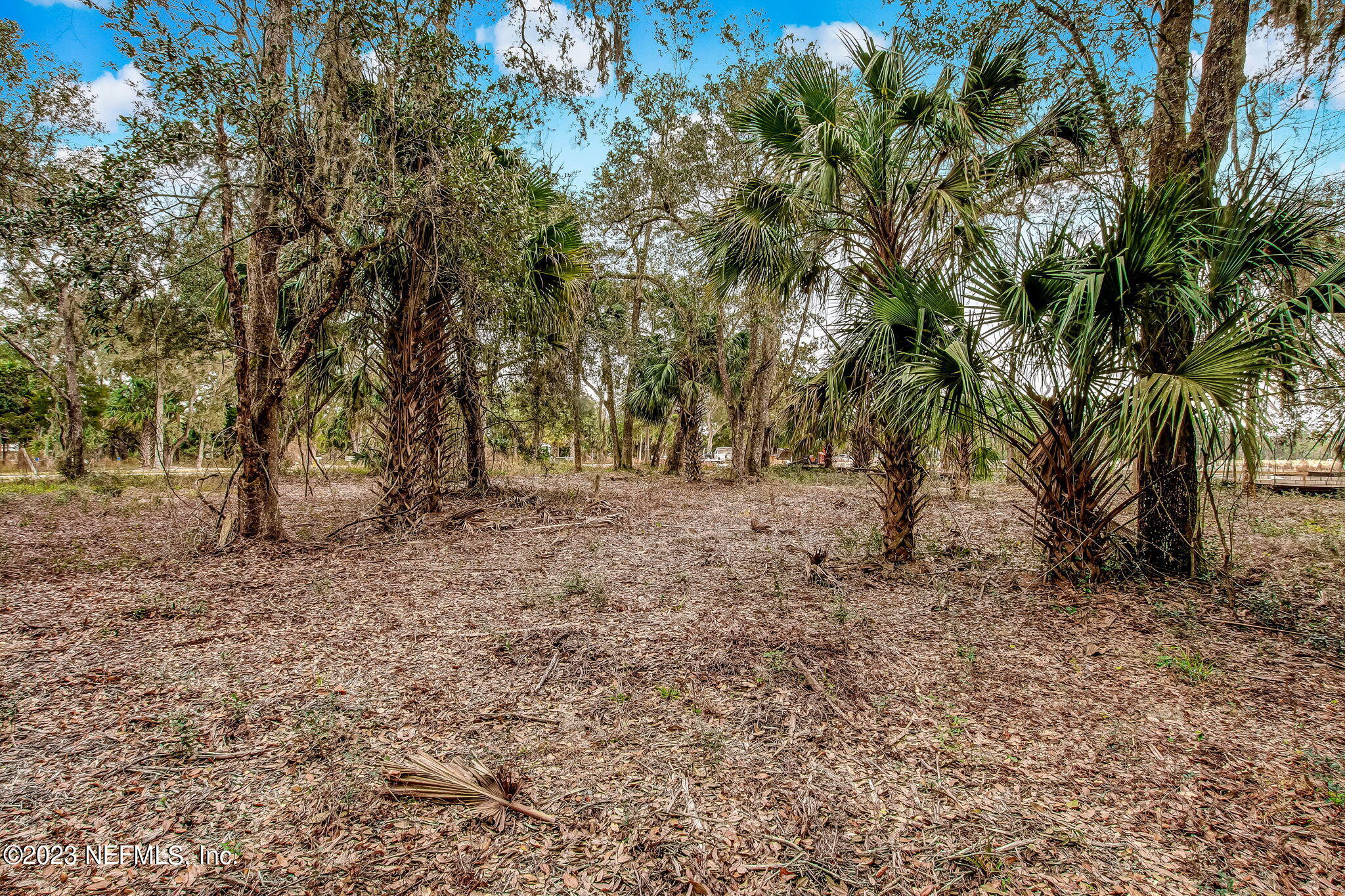 282 Shell Ridge Lane Ponte Vedra, FL 32081 - Photo 5 of 33 5-web-or-mls-5_River Landing - Lot 100