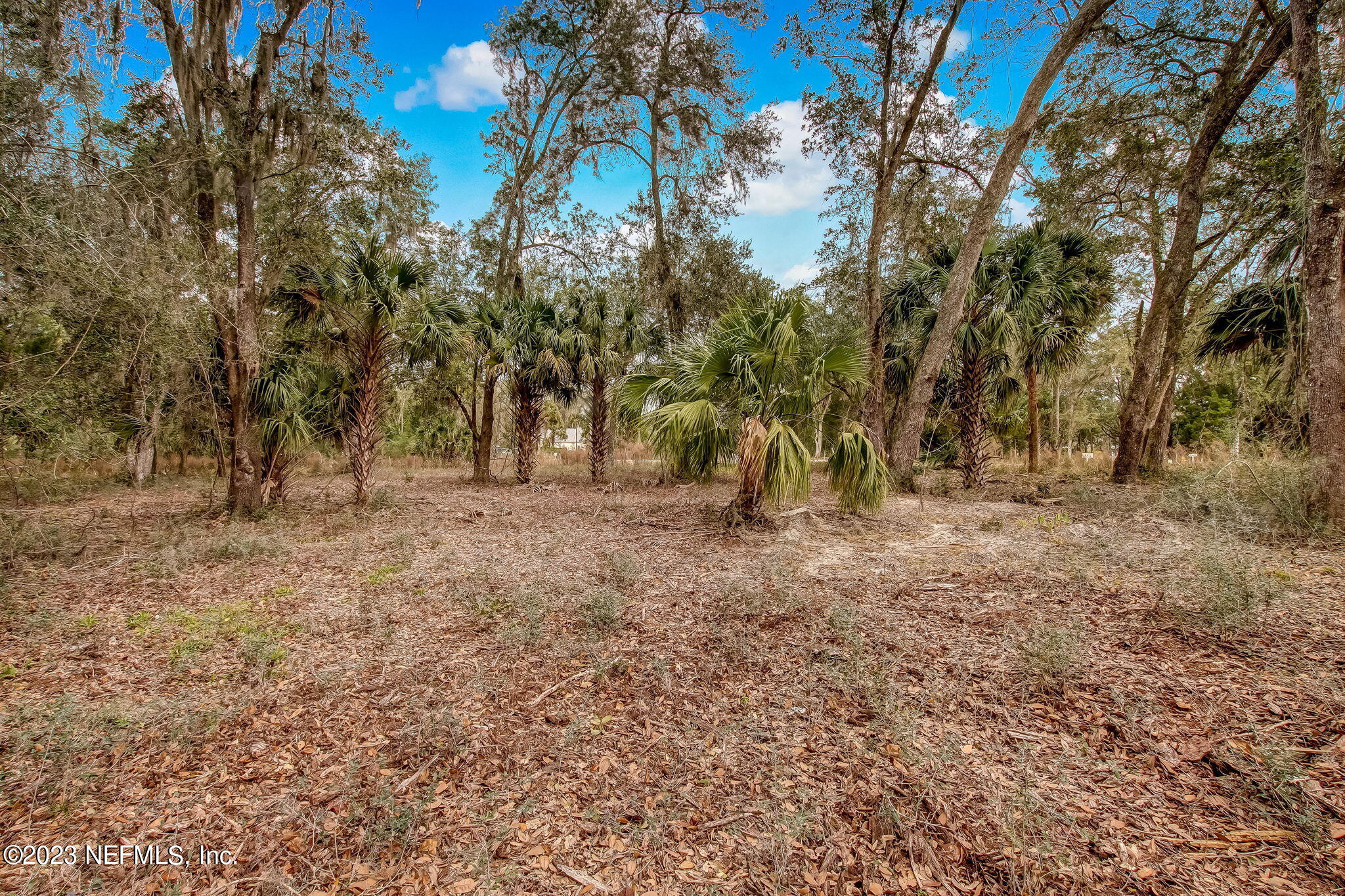 282 Shell Ridge Lane Ponte Vedra, FL 32081 - Photo 6 of 33 4-web-or-mls-4_River Landing - Lot 100