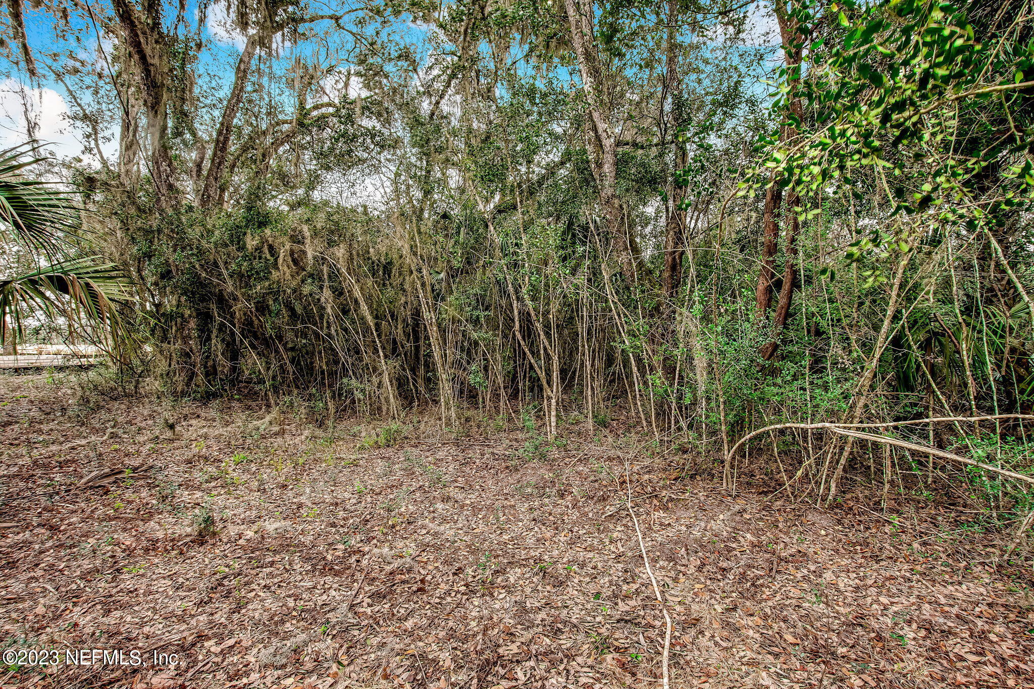 282 Shell Ridge Lane Ponte Vedra, FL 32081 - Photo 7 of 33 6-web-or-mls-6_River Landing - Lot 100