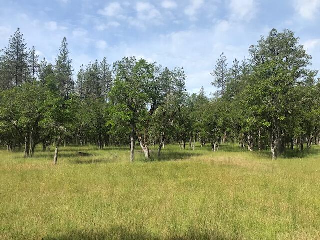 3735 Cobleigh Road Eagle Point, OR 97524 - Photo 35 of 39 Cobleigh 10