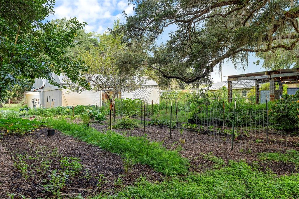 2016 Lewis Road Leesburg, FL 34748 - Photo 86 of 95 Gallery Image 86