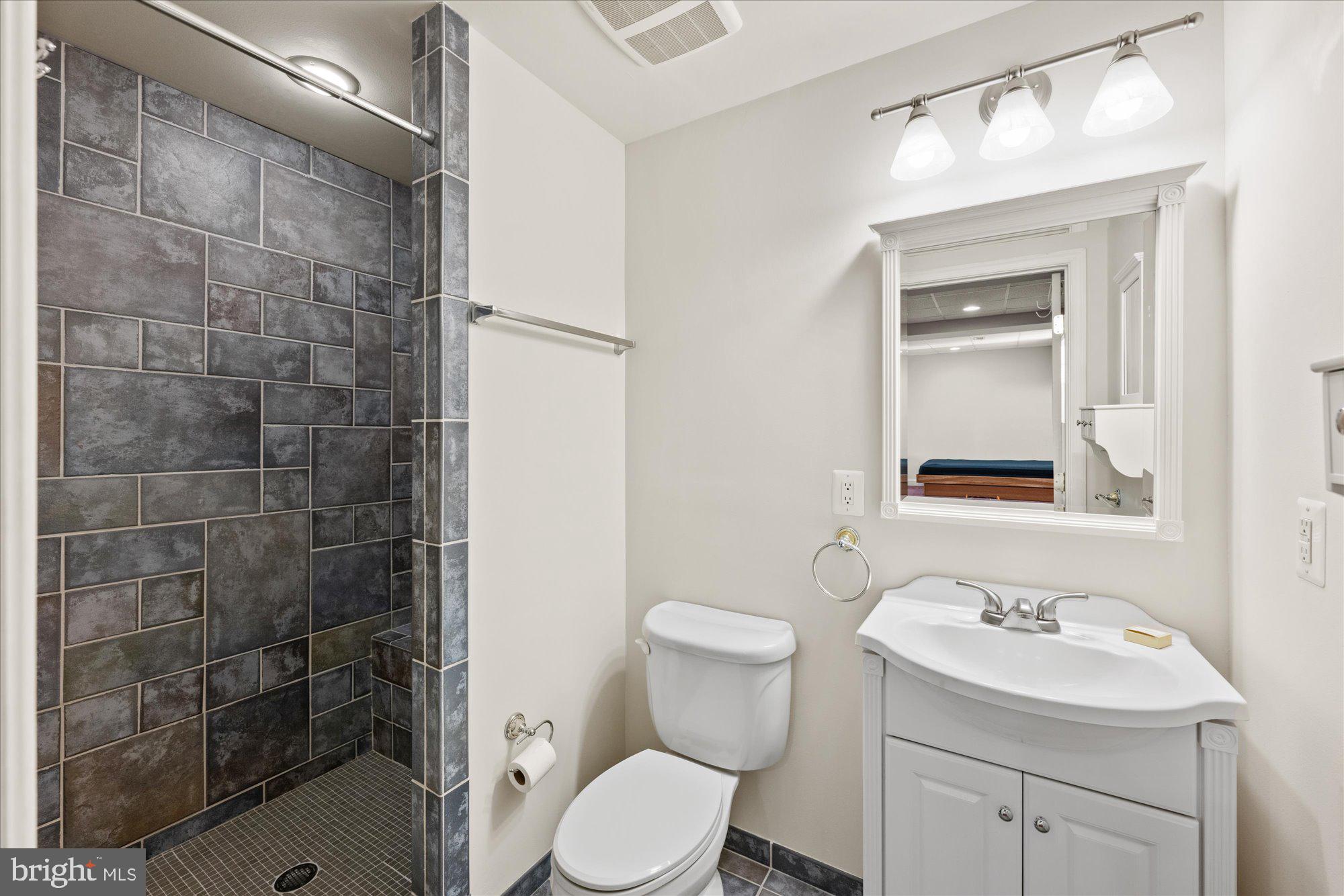 20026 Valhalla Square Ashburn, VA 20147 - Photo 31 of 82 a bathroom with a sink a toilet and shower