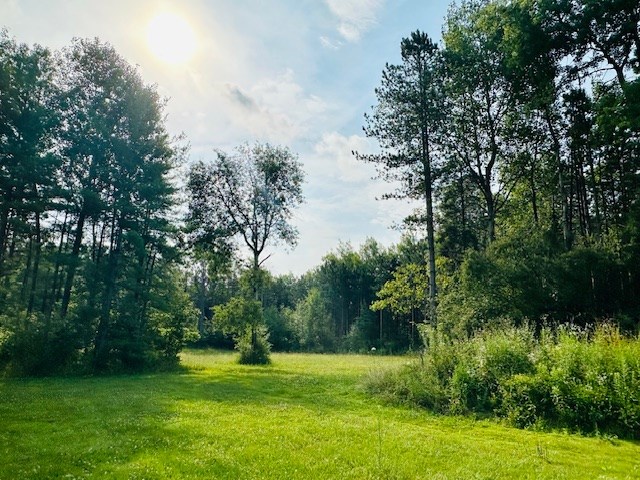 2916 Ninevah Road Knox, PA 16232 - Photo 12 of 42 a view of a golf course with a lake