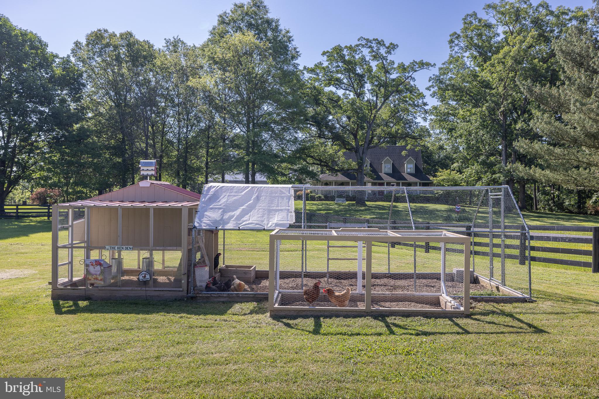 824 Copp Road Strasburg, VA 22657 - Photo 59 of 83 The Hen Den