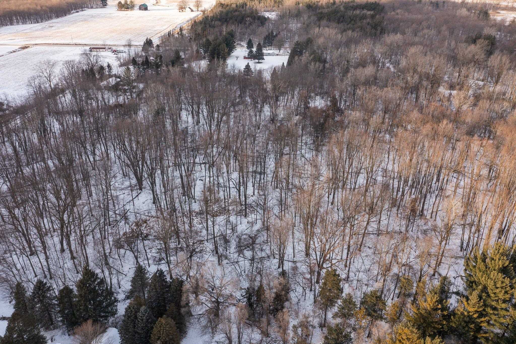 1014 East Van Buren Road Alma, MI 48801 - Photo 53 of 60 1896118-52.JPG