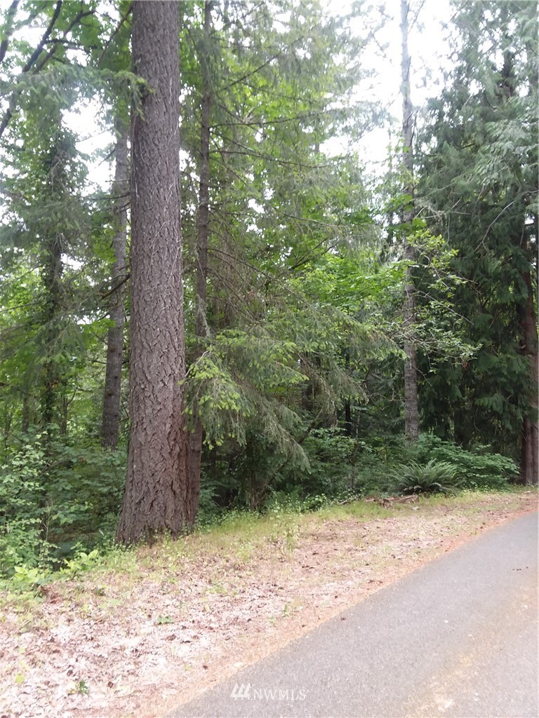 -xxxx Walnut Road Northwest Olympia, WA 98502 - Photo 1 of 1 Gallery Image 1