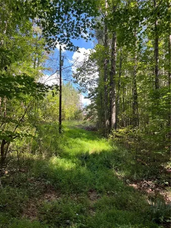 $85,900 | 0 Highway 120, Tallapoosa, GA 30176