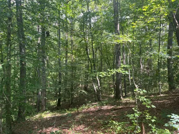 $85,900 | 0 Highway 120, Tallapoosa, GA 30176