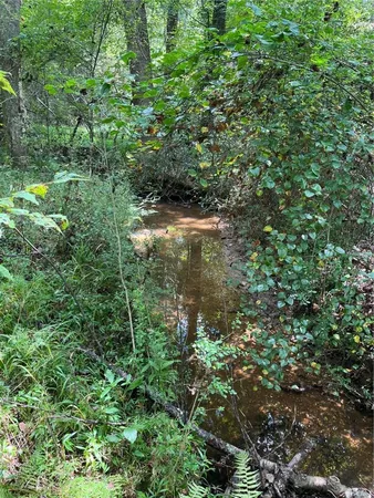 $85,900 | 0 Highway 120, Tallapoosa, GA 30176
