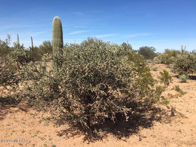12950 West Fort Lowell Road Tucson, AZ 85743 - Photo 11 of 20