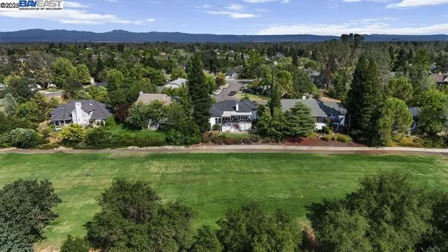 an aerial view of residential houses with outdoor space and trees