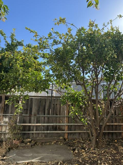 2150 Monterey Road, Unit 75 San Jose, CA 95112 - Photo 21 of 38 a view of outdoor space and yard