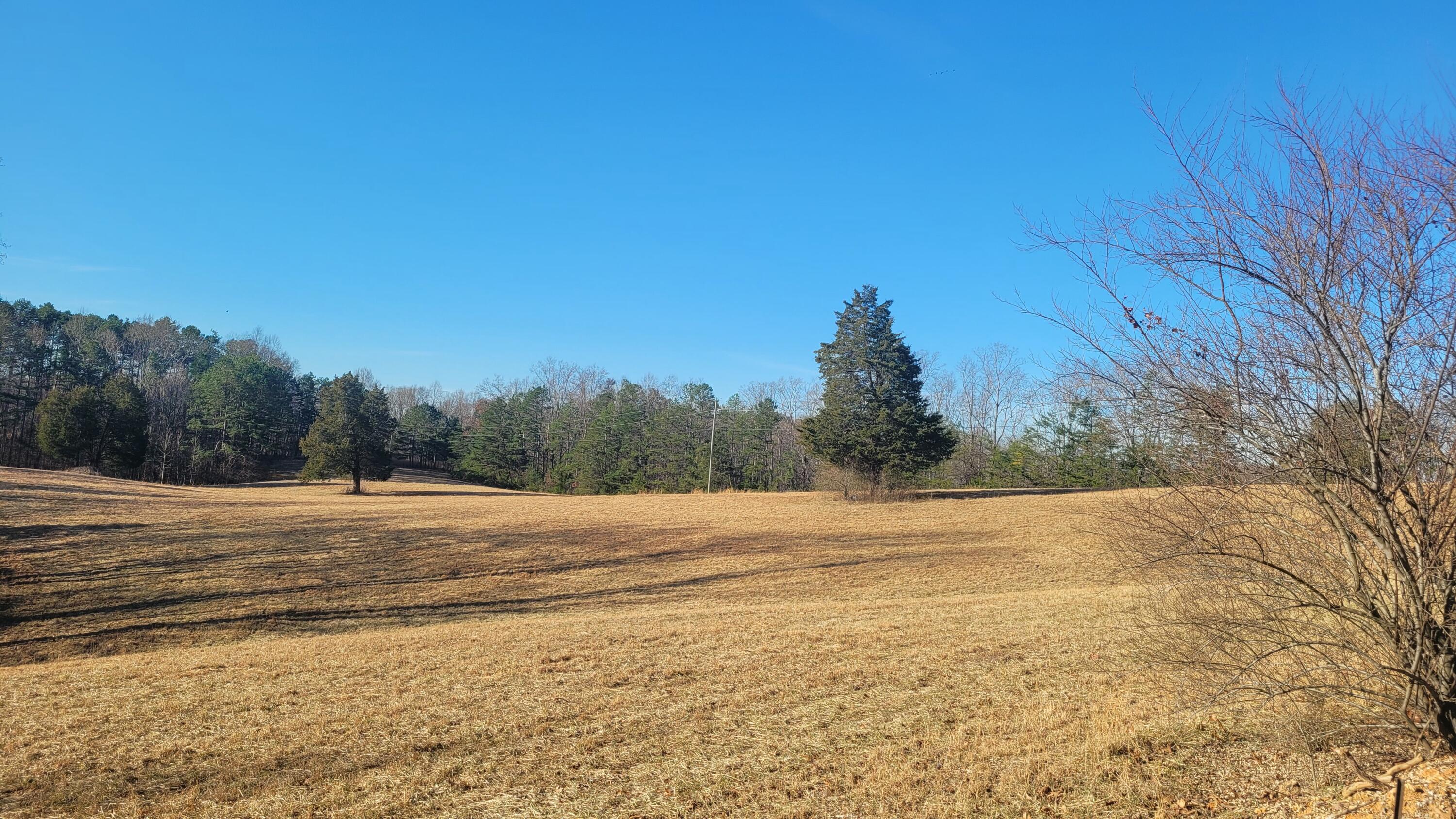 1330 Pea Ridge Road Somerset, KY 42501 - Photo 2 of 14 20250203_095025