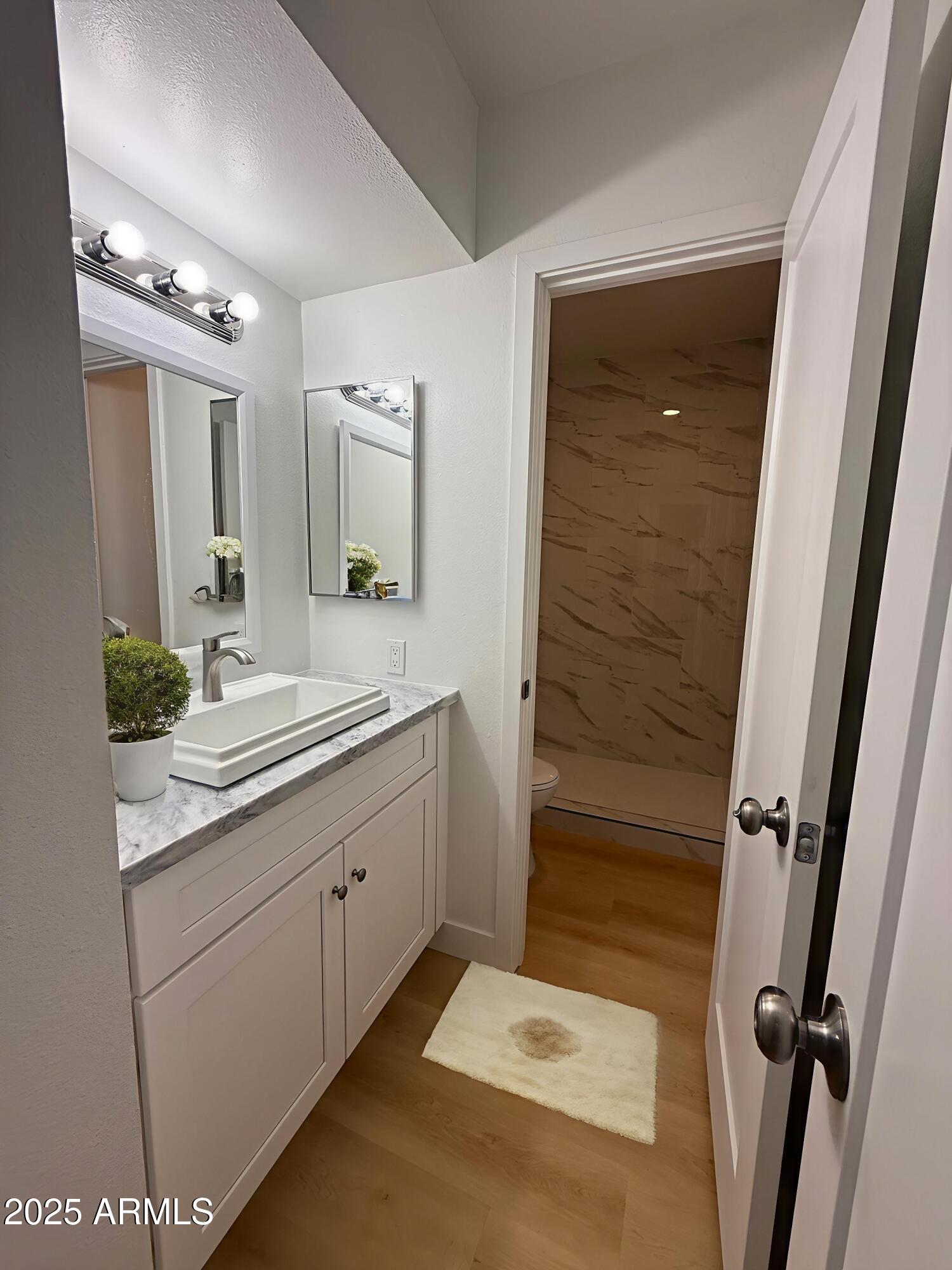 720 South Dobson Road, Unit 95 Mesa, AZ 85202 - Photo 11 of 41 IMG_0199 - Bathroom - Standard - 2