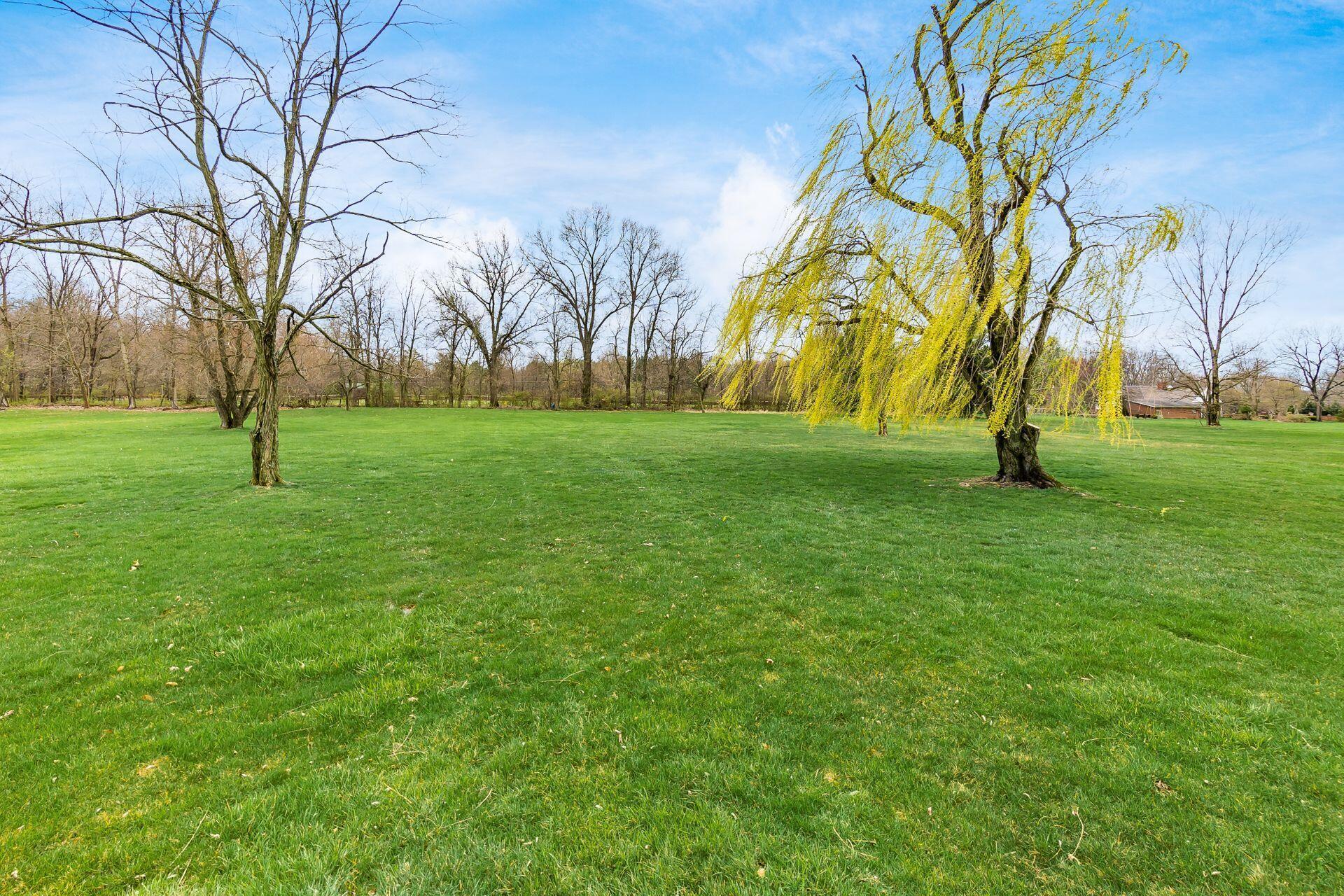 9936 Hoover Woods Road Galena, OH 43021 - Photo 43 of 47 Huge Back Yard