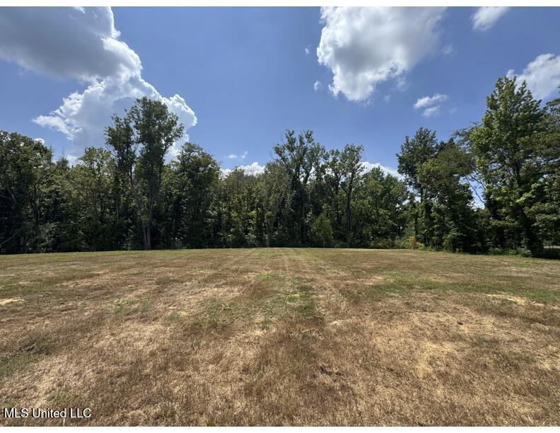 7789 Dean Road Lake Cormorant, MS 38641 - Photo 1 of 1 front of lot