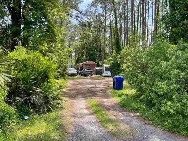a view of a fire pit with large trees