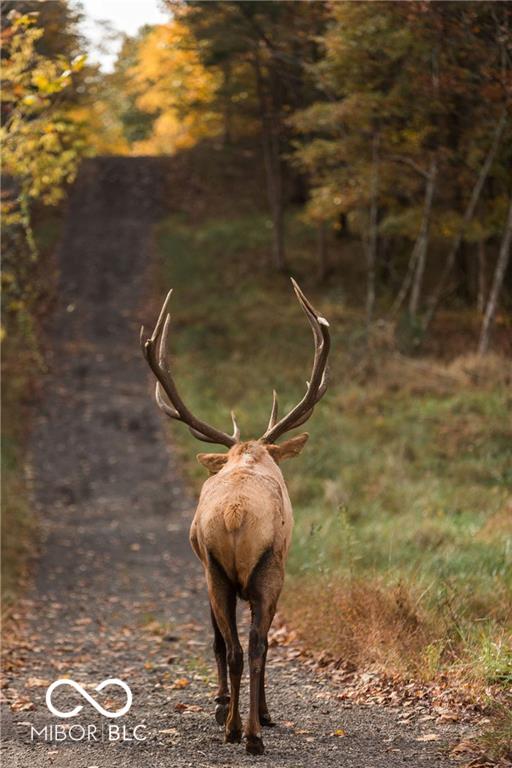 10285 West Youth Camp Road Columbus, IN 47201 - Photo 59 of 63