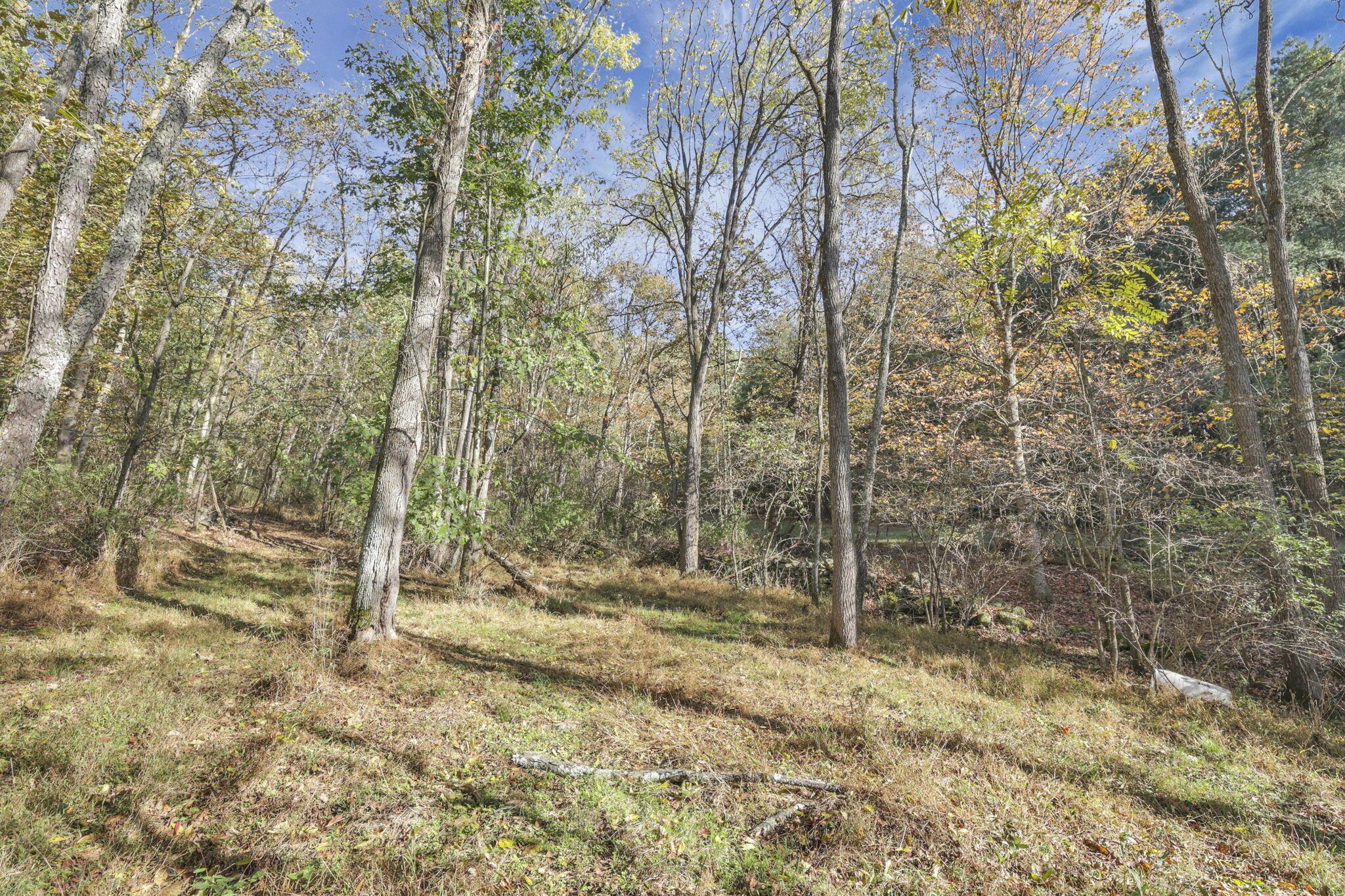 12470 Houdeshell Road Newark, OH 43055 - Photo 26 of 37 64-web-or-mls-011A8228