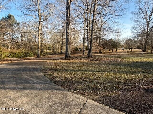 3153 Louis Wilson Drive Brandon, MS 39042 - Photo 11 of 95 IMG_0848