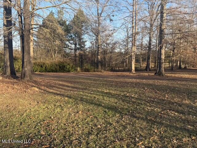 3153 Louis Wilson Drive Brandon, MS 39042 - Photo 15 of 95 IMG_0858