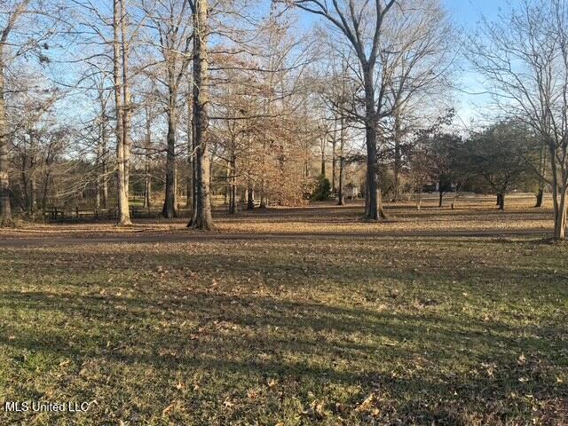 3153 Louis Wilson Drive Brandon, MS 39042 - Photo 16 of 95 IMG_0859