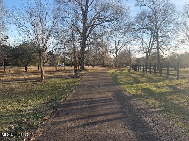 3153 Louis Wilson Drive Brandon, MS 39042 - Photo 17 of 95 IMG_0860