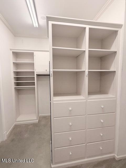 3153 Louis Wilson Drive Brandon, MS 39042 - Photo 46 of 95 IMG_0789