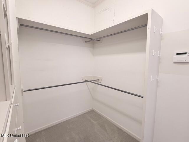 3153 Louis Wilson Drive Brandon, MS 39042 - Photo 47 of 95 IMG_0790