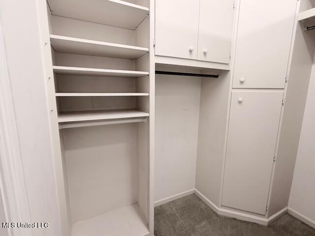 3153 Louis Wilson Drive Brandon, MS 39042 - Photo 49 of 95 IMG_0792