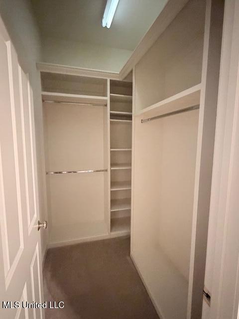 3153 Louis Wilson Drive Brandon, MS 39042 - Photo 56 of 95 IMG_0799