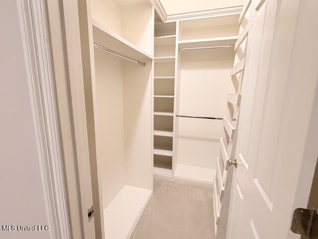 3153 Louis Wilson Drive Brandon, MS 39042 - Photo 62 of 95 IMG_0805