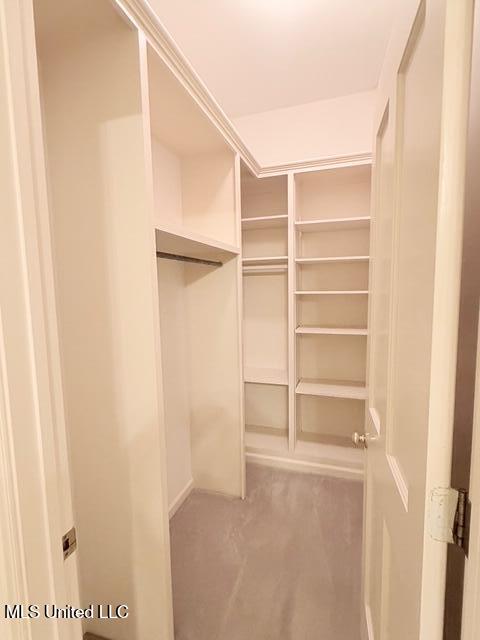 3153 Louis Wilson Drive Brandon, MS 39042 - Photo 76 of 95 IMG_0819