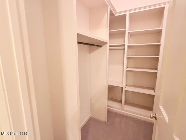 3153 Louis Wilson Drive Brandon, MS 39042 - Photo 77 of 95 IMG_0820