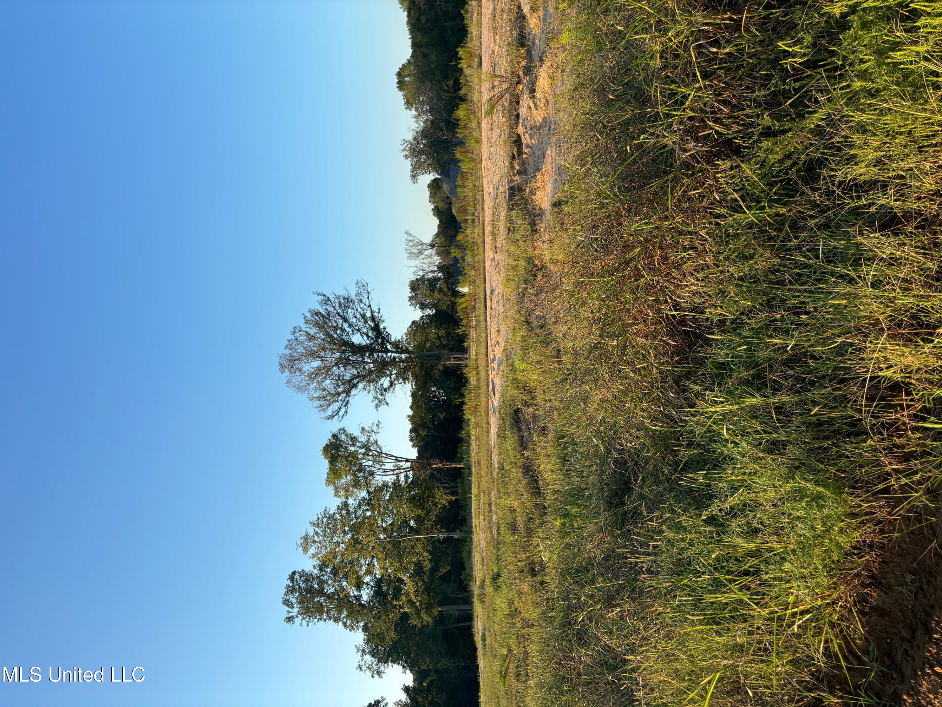 32 Pebble Ridge Drive Byhalia, MS 38611 - Photo 1 of 1 Level rectangular residential lot
