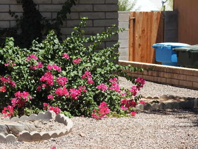 2016 East Greenway Road Phoenix, AZ 85022 - Photo 24 of 44 DSCN0253